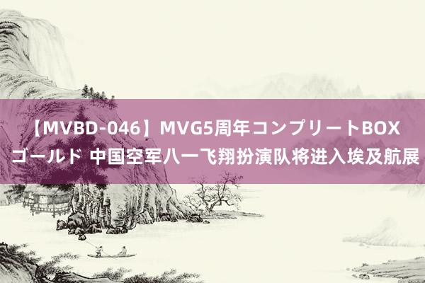 【MVBD-046】MVG5周年コンプリートBOX ゴールド 中国空军八一飞翔扮演队将进入埃及航展