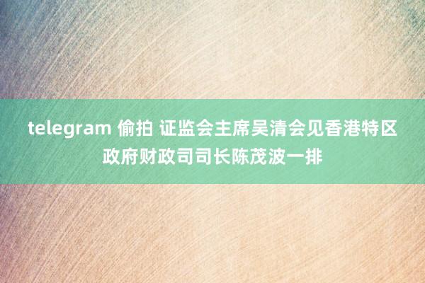 telegram 偷拍 证监会主席吴清会见香港特区政府财政司司长陈茂波一排