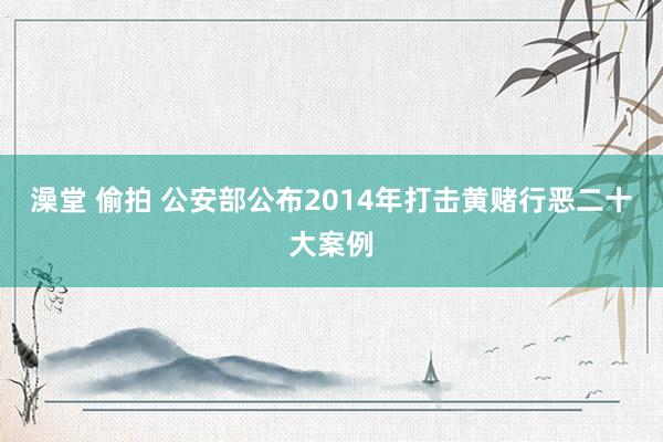 澡堂 偷拍 公安部公布2014年打击黄赌行恶二十大案例