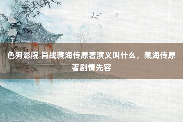 色狗影院 肖战藏海传原著演义叫什么，藏海传原著剧情先容